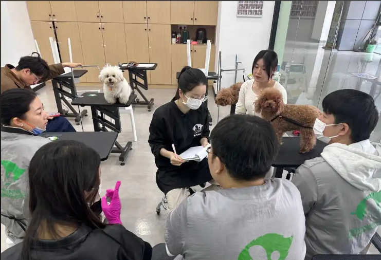 荆门市宠物美容学习宠物美容培训学校 - 厂家